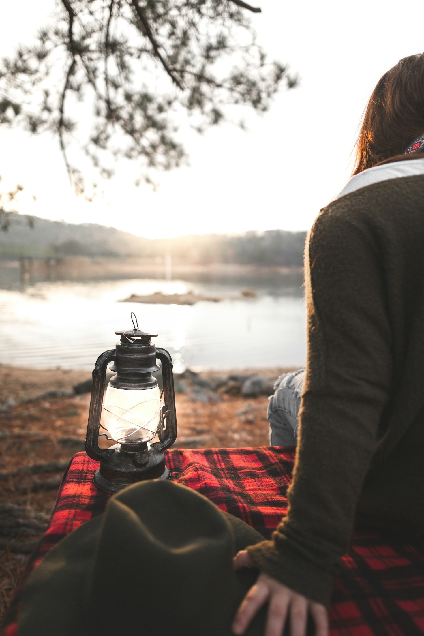 Open-Fire Cooking: Simple Meals in the Heart of the Woods